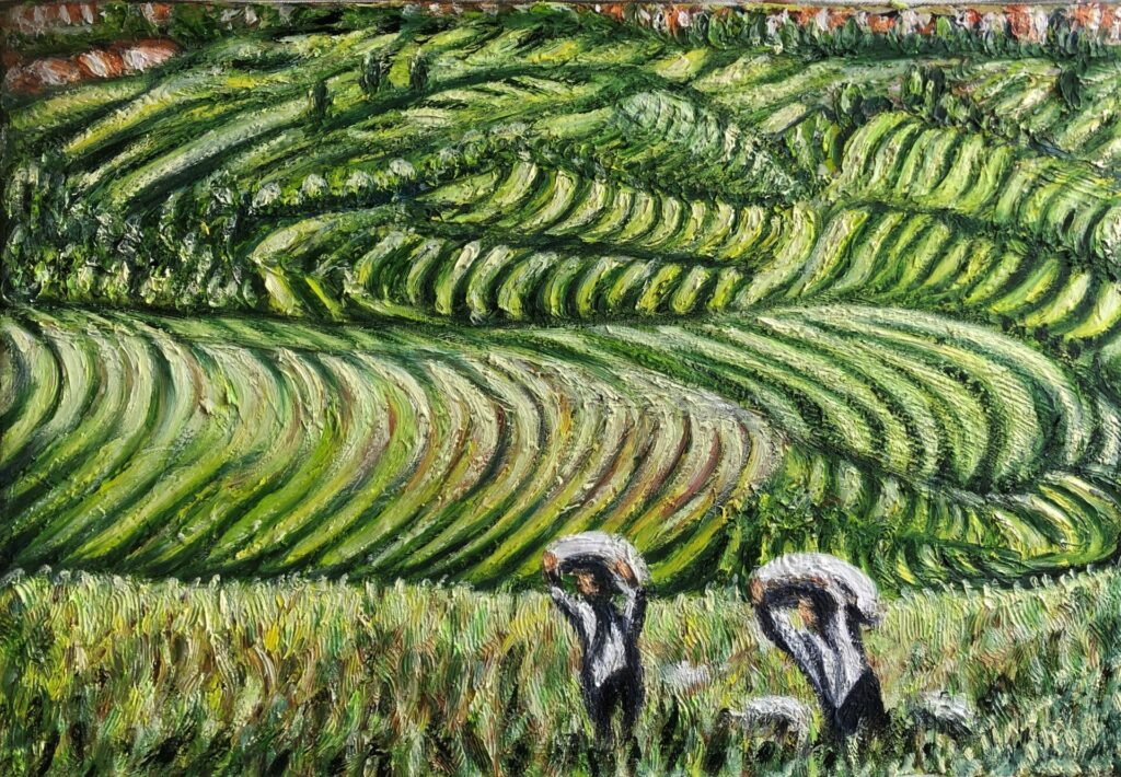 Madagascar : retour des champs