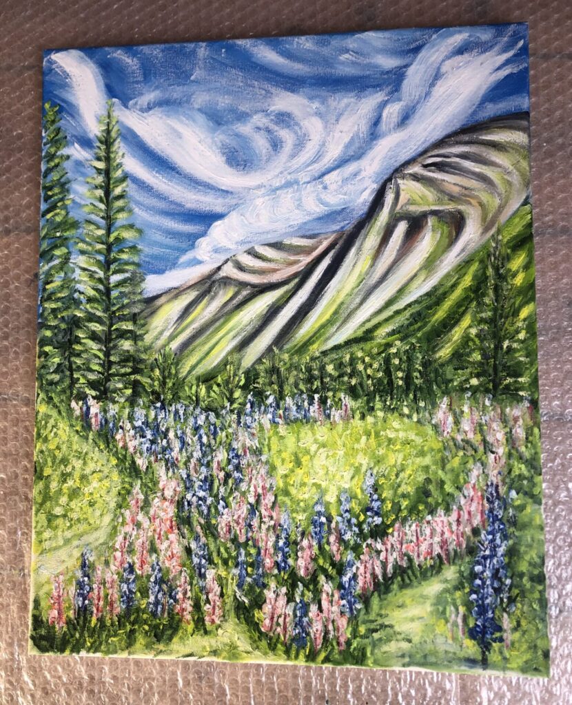 Norvège : champ de lupins