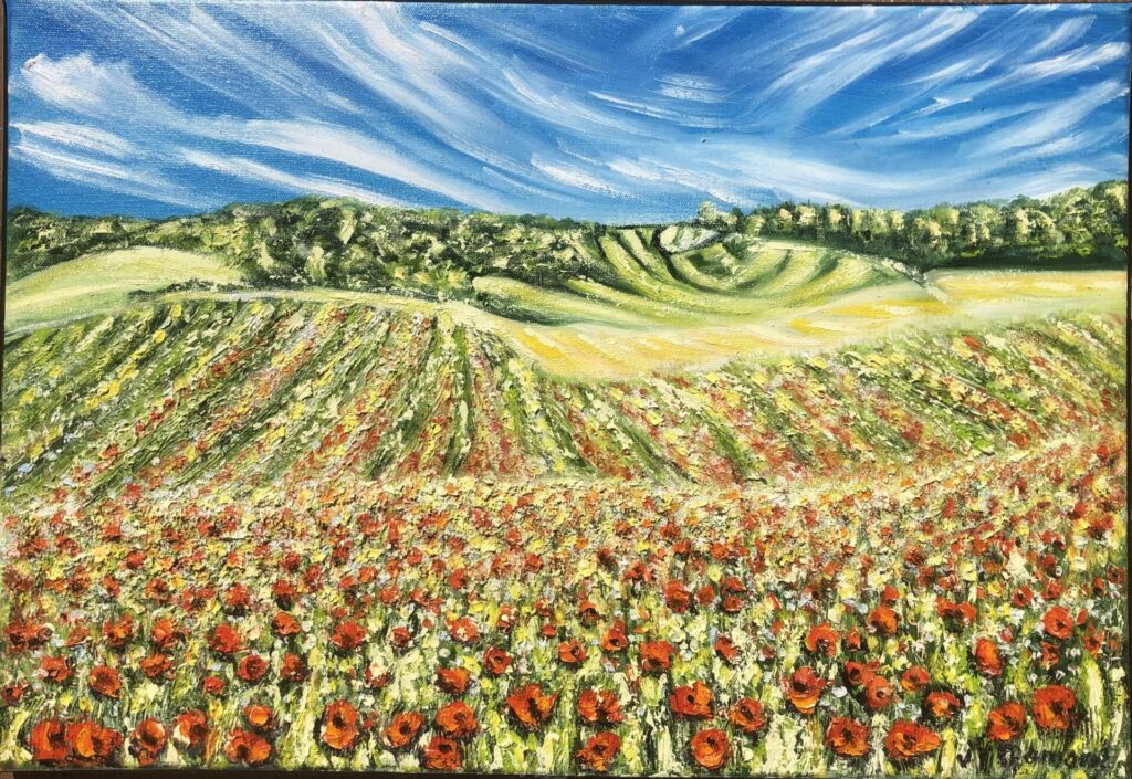 Osmoy-St-Valéry : le champ de coquelicots