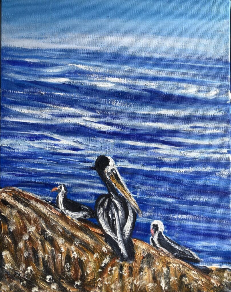 Chili : pélican et albatros au bord de l'océan